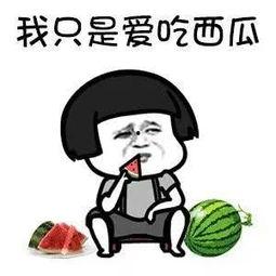 吃娱乐圈搞笑的瓜