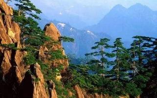 娱乐吃瓜君黄山